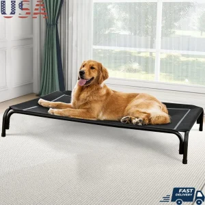 Large Raised Dog Bed with Sturdy Metal Frame