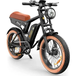 Adults 750/1500W, Fat Tire Electric Bike